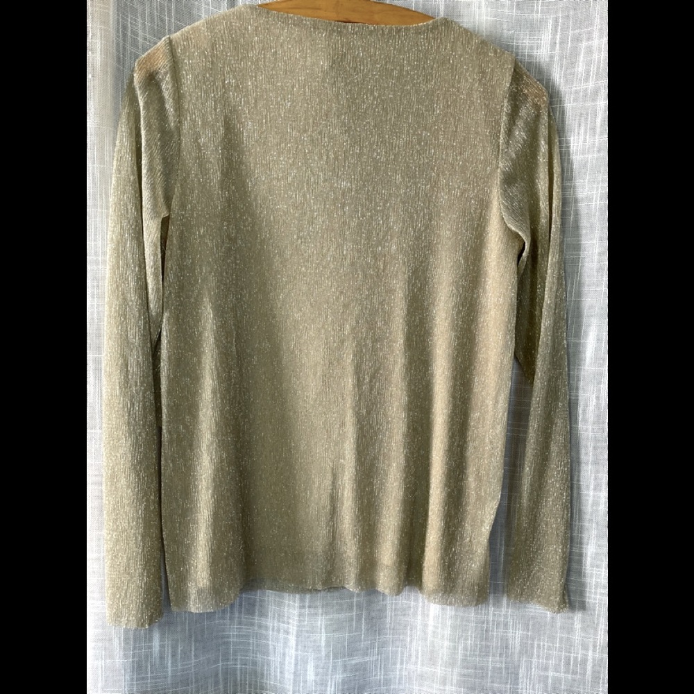 Chico’s star dust blouse